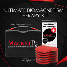 Load image into Gallery viewer, Biomagnetic Therapy Magnet Kit — Ferrite &amp; Leather (6 Large Magnets)