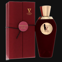 Load image into Gallery viewer, Mandragola V By V Canto (Unisex)