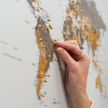 Load image into Gallery viewer, World Map on Canvas - Desert
