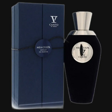 Load image into Gallery viewer, Mea Culpa V By V Canto (Unisex)