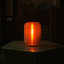 Load image into Gallery viewer, Mini Allium Lamp
