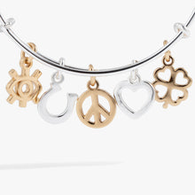 Load image into Gallery viewer, Mixed Symbol Multi-Charm Bangle