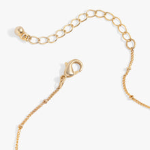 Load image into Gallery viewer, Moon and Sun Multicharm Necklace