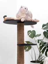 Load image into Gallery viewer, Wooden Cat Tree