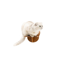 Load image into Gallery viewer, Wooden Cat Step - Oak