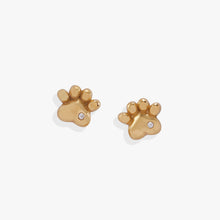 Load image into Gallery viewer, Crystal Paw Mini Stud Earrings