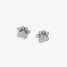 Load image into Gallery viewer, Paw Print Mini Stud Earrings
