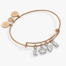 Load image into Gallery viewer, Pet Love Multi Charm Bangle
