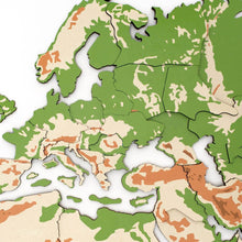 Load image into Gallery viewer, 3D Wooden World Map Physical
