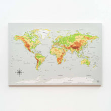 Load image into Gallery viewer, World Map on Canvas - Physical