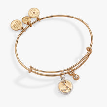 Load image into Gallery viewer, Pisces Zodiac Charm Bangle