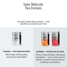 Load image into Gallery viewer, Arq8™ Creatine Monohydrate Powder