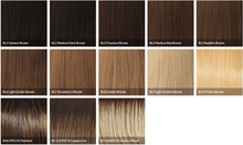 Load image into Gallery viewer, princessa by Raquel welch european human hair wig color BL6