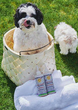 Load image into Gallery viewer, (No Fragrance) Super Sensitive™ Puppy + Dog + Kitty Wash