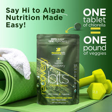 Load image into Gallery viewer, RECOVERYbits® Chlorella | Large Bag