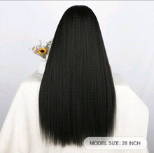 Load image into Gallery viewer, LydiaMFashions Straight Headband Wig