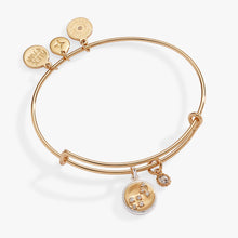 Load image into Gallery viewer, Scorpio Zodiac Charm Bangle