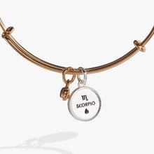 Load image into Gallery viewer, Scorpio Zodiac Charm Bangle