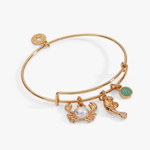 Load image into Gallery viewer, Sea Creature Multi Charm Bangle