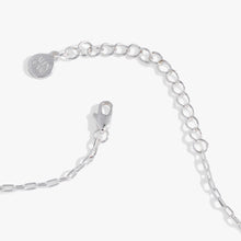 Load image into Gallery viewer, Sea Turtle and Abalone Adjustable Necklace