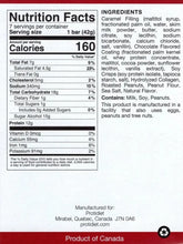 Load image into Gallery viewer, Caramel &amp; Sea Salt Bites - Protidiet