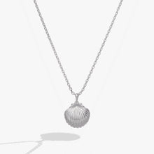 Load image into Gallery viewer, Salt + Sea 'Seashells Are Love Letters In The Sand' Seashell Locket Pendant