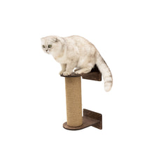 Load image into Gallery viewer, Small Cat Tree – Dark Walnut