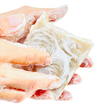 Load image into Gallery viewer, Milk + Honey Fragrance Free Handmade Tallow and Goat Milk Soap Bar