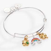 Load image into Gallery viewer, End of the Rainbow Multi-Charm Bangle