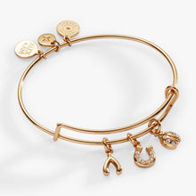 Load image into Gallery viewer, Love and Luck Multi-Charm Bangle