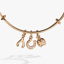 Load image into Gallery viewer, Love and Luck Multi-Charm Bangle