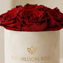Load image into Gallery viewer, Essence Beige Suede Box | Red Roses