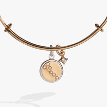 Load image into Gallery viewer, Taurus Zodiac Charm Bangle