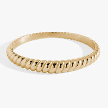 Load image into Gallery viewer, Stainless Steel Rope Textured Bangle