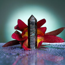 Load image into Gallery viewer, This Is Your Breakthrough – Rare Arfvedsonite Point