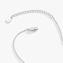 Load image into Gallery viewer, Crystal Heart Slider Necklace