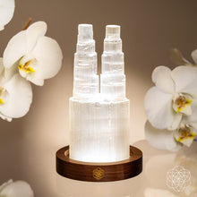 Load image into Gallery viewer, Two-Tower Selenite Lamp – Deep Energy Cleanse &amp; Reset