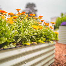 Load image into Gallery viewer, 17" Tall 4 In 1 Small Modular Metal Raised Garden Bed Kit