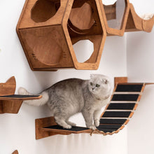 Load image into Gallery viewer, Cat Rope Bridge Oak