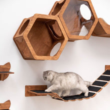 Load image into Gallery viewer, Cat Rope Bridge Oak