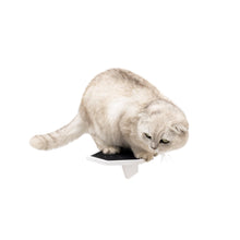 Load image into Gallery viewer, Wooden Cat Step - White
