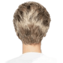Load image into Gallery viewer, WINNER ELITE - Wig by Raquel Welch