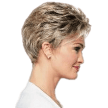 Load image into Gallery viewer, WINNER ELITE - Wig by Raquel Welch