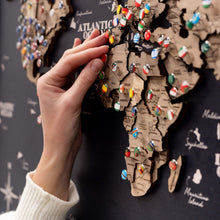 Load image into Gallery viewer, 3D Wooden Panel World Map Terra