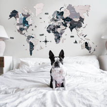 Load image into Gallery viewer, Bundle: Colored Map and Airplanes Pins