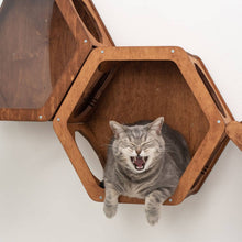 Load image into Gallery viewer, Wooden Cat Shelf Oak