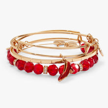 Load image into Gallery viewer, The Wizard of Oz™ Dorothy Bangles Set of 3