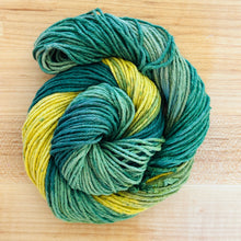 Load image into Gallery viewer, Yarn of the Month Exclusive Colorways