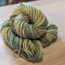 Load image into Gallery viewer, Yarn of the Month Exclusive Colorways