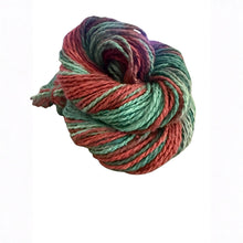 Load image into Gallery viewer, Yarn of the Month Exclusive Colorways